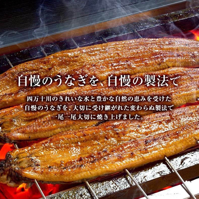 うなぎ 蒲焼き 国産 四万十うなぎ きざみ カット済 80g お取り寄せ グルメ 鰻