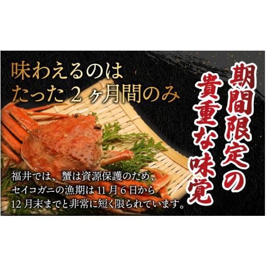 ふるさと納税 福井県 高浜町 越前コッペガニ（セイコガニ）3杯 セット