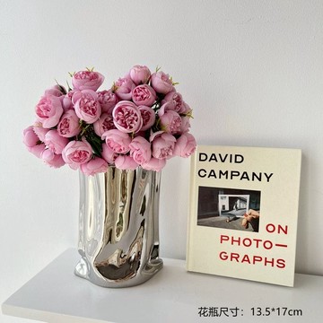 增添家的格調 歐風仿真桃色茶玫銀色花瓶系列