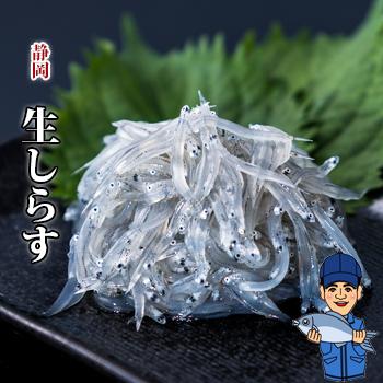 生しらす（生シラス）100g｜静岡県産　ご当地グルメ　お取り寄せ　ポイント消化に