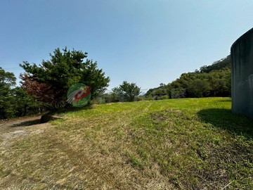 名間隱赦山中臨大樟樹公神木1.9甲多平台農地｜南投縣名間鄉番子寮段