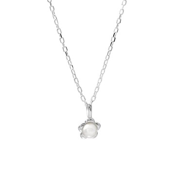 [預購] [純銀] 迷你小花鎖骨鍊 / Mini Flowers Necklace
