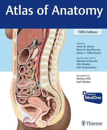 Atlas of Anatomy (1版) Gilroy 2025 Thieme