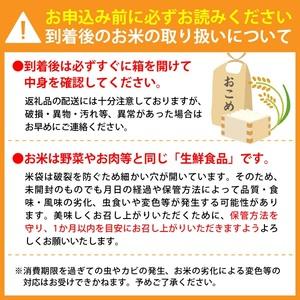 ふるさと納税 2024年2月前半発送　特別栽培米 つや姫 10kg（5kg×2袋）山形県産 山形県河北町