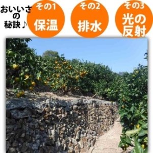 みかん はっさく 八朔 2kg 訳あり  ブランド 和歌山 有田みかん ありだみかん