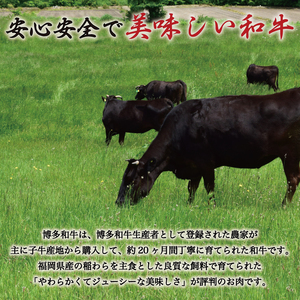 A5～A4ランク 博多和牛 厳選セット(計1150g)焼肉たれ・塩胡椒付 化粧箱入 [a0231] 株式会社マル五 ※配送不可：離島添田町 ふるさと納税