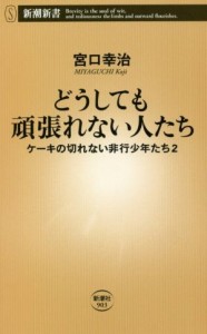  どうしても頑張れない人たち ケーキの切れない非行少年たち　２ 新潮新書９０３／宮口幸治(著者)