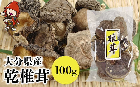 乾椎茸 100g 2袋 干し椎茸 原木栽培 乾しいたけ 乾燥椎茸 干ししいたけ 乾燥しいたけ 干しシイタケ 大分県産 九州産 中津市