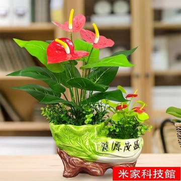 北歐創意室內裝飾花卉綠植盆栽大盆景橄欖樹仿真植物客廳落地擺件 預購ch1940 Yahoo奇摩超級商城 Line購物