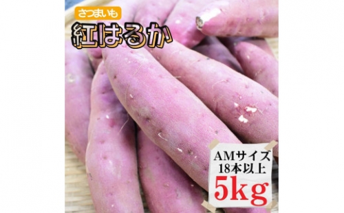 さつまいもAMサイズ5kg（18本以上）