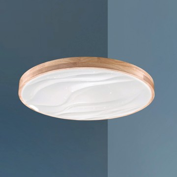 45W 三色變光吸頂燈 B102-13-64211