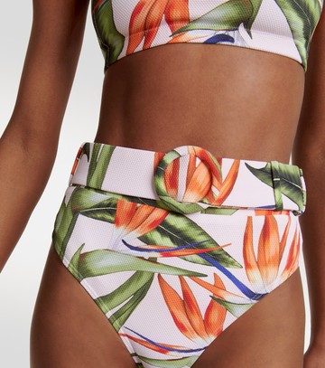 Alexandra Miro Ursula bikini bottoms