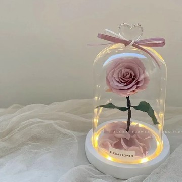 【FLORA FLOWER】小王子永生玫瑰-柔美