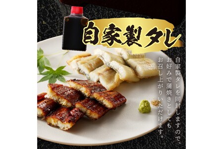 うなぎ／うなぎの食べ比べセット2~3人前全部で1尾　うなぎの蒲焼き・白焼きセット１匹