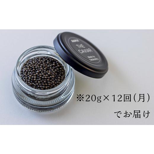 ふるさと納税 宮崎県 高原町 THE・CAVIAR（ザ・キャビア）20g