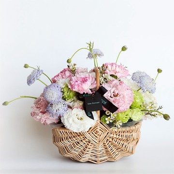 【EliteConcept一禮莊園】 母親節限定 | Happy Mother's Day提籃式春天康乃馨盆花
