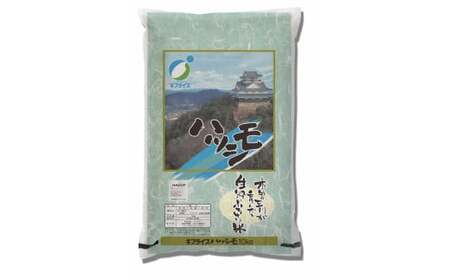 岐阜ハツシモ　10kg (精米)