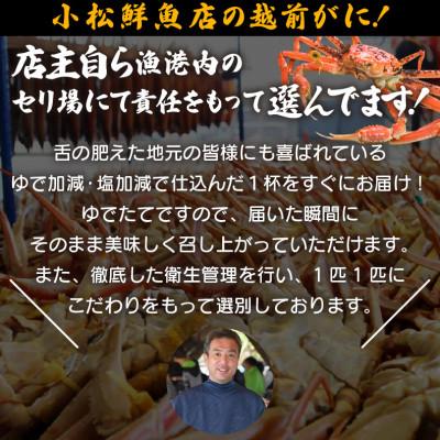 ふるさと納税 越前町 地元鮮魚店厳選  ≪浜茹で≫ 足折れ 越前がに 中サイズ 1杯