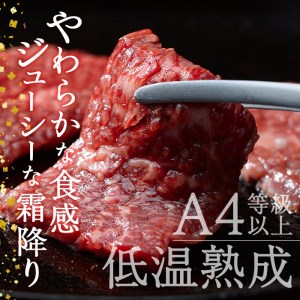 おおいた和牛 カルビ 2種焼肉セット (合計550g・赤身カルビ250g カルビ300g) 国産 牛肉 肉 霜降り 低温熟成 A4 和牛 ブランド牛 焼肉 BBQ 冷凍 大分県 佐伯市