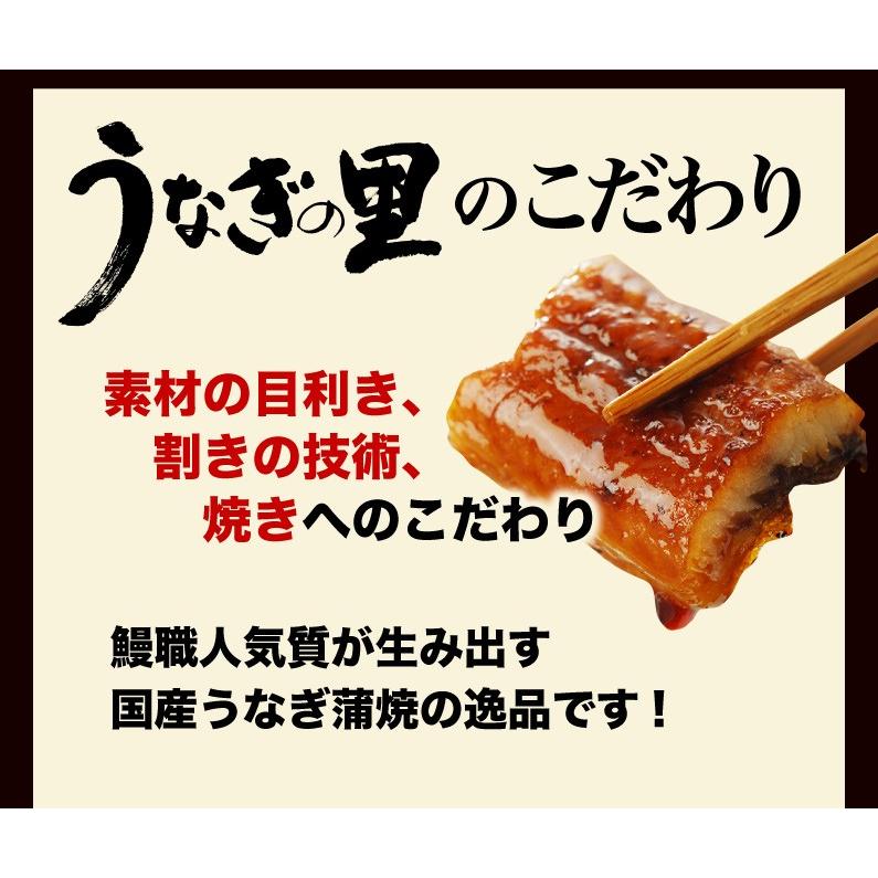 ギフト うなぎめし せいろ蒸し仕立て 8食 うな重  プレゼント 鹿児島県 佐賀県産特別栽培米 山椒 送料無料 クール便