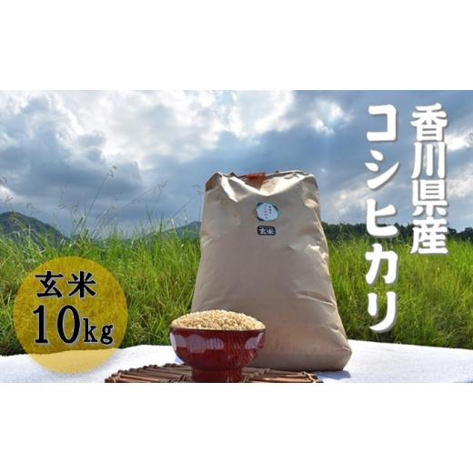 ふるさと納税 香川県 東かがわ市 [No.4631-8802]2372令和5年産 ふじもとファームの新米令和6年1月配送