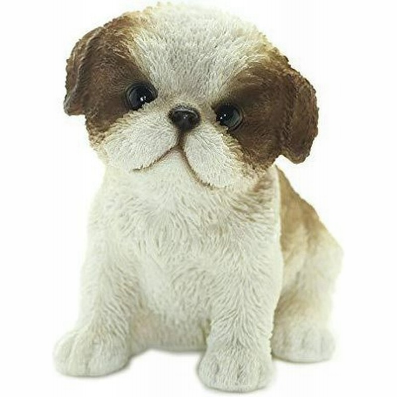 ファンシー Ca181 S シーズー 犬 置物 玄関 かわいい インテリア ガーデンオーナメント ガーデニング 犬 好き な 通販 Lineポイント最大0 5 Get Lineショッピング