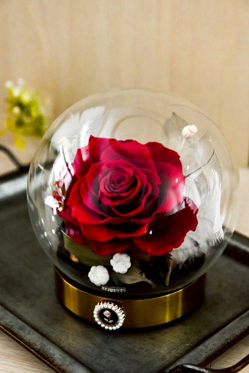 紅玫瑰祈願羽球│Preserved Red Rose With Glass Dome
