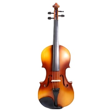 T.CUSTOM 小提琴 1/2 兒童初學套裝 帶琴盒12件組  1組  單一商品  混和顏色