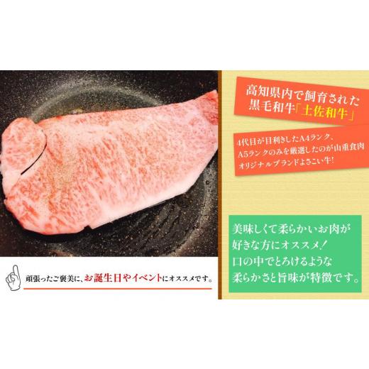 ふるさと納税 高知県 高知市 高知県産　よさこい和牛　サーロインステーキ用(約200g×1枚)