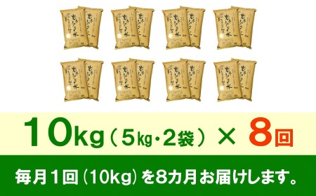 3人に1人がリピーター!☆全8回定期便☆ 岩手ふるさと米 10kg(5㎏×2)×8ヶ月 令和5年産 新米 一等米ひとめぼれ 東北有数のお米の産地 岩手県奥州市産[U0167]