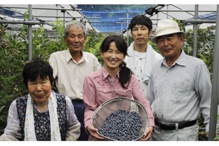 しまなみの野菜と果物セット(1箱)(森のともだち農園玉川町) [VC00890]