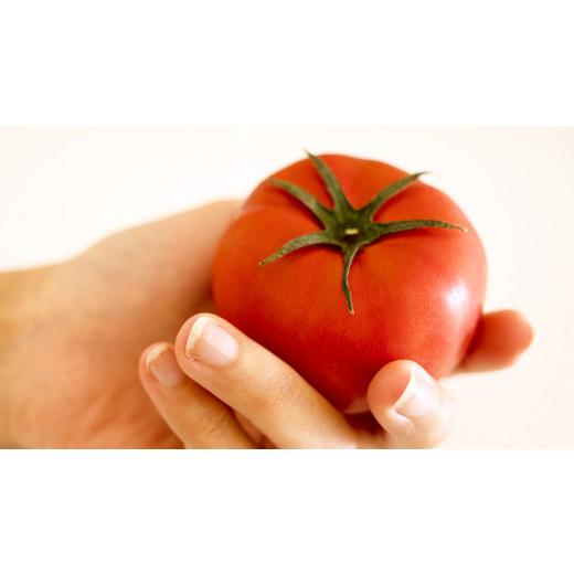 ふるさと納税 茨城県 桜川市  スーパーフルーツトマト てるて姫小箱 約800g×1箱糖度9度以上 ブランドトマト フル…