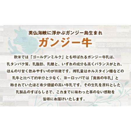 ふるさと納税 貴族の牛乳！ ガンジー牛乳 100% 900ml 2本 冷蔵 大分県竹田市