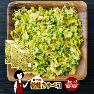 乾燥キャベツ1kg×3／九州産 乾燥野菜 きゃべつ 宅配便 送料無料 九州産 国産 ボイル済み ドライベジ アウトドア キャンプ 保存食 時間短