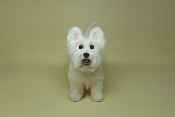 私訊傳照報價-客製化寵物羊毛氈-全身訂做-專屬訂單