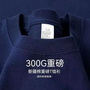 【台灣现貨】短袖女重磅純棉300g 圓領設計 吸濕透氣短袖 厚實不透上衣 大尺碼純棉短袖T恤 純色短袖上衣 寬鬆版型