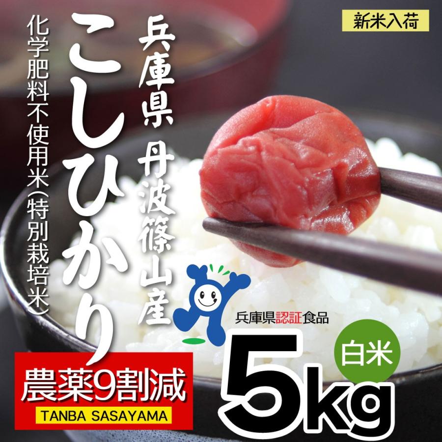 米5kg 送料無 新米 丹波 コシヒカリ 農薬9割減 化学肥料不使用 令和5年産 丹波篠山産 特別栽培米 白米