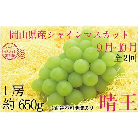 ふるさと納税 ぶどう 2024年 先行予約 9月・10月発送 シャイン マスカット 晴王 1房 約650g ブドウ 葡萄  岡山県産 国産 フルーツ 果物 ギフト 岡山県玉野市