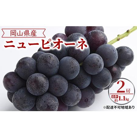 ふるさと納税 ぶどう 2024年 先行予約 ニュー ピオーネ 2房（合計約1.1kg） ブドウ 葡萄  岡山県産 国産 フルーツ 果物 ギフト 岡山県岡山市