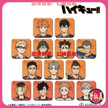 快速出貨 AMNIBUS 排球少年 垃圾場的對決 方形 徽章 周邊K0330