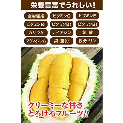 ユアーズライフ 高級ドリアン durian 榴? 500g HACCP認定 無添加 真空パック 人気 完熟 冷凍フルーツ 日本メーカー