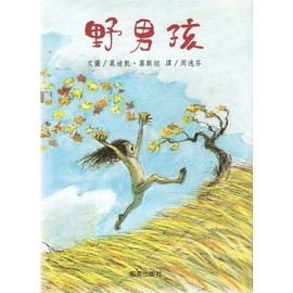 野男孩[二手書_良好]