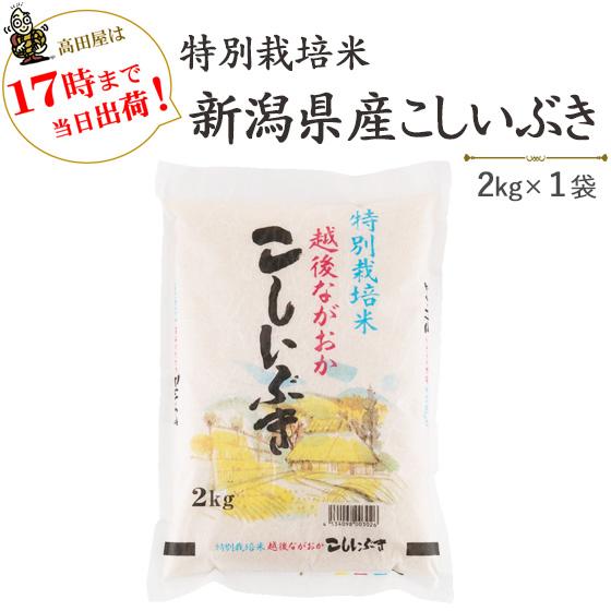 令和５年産　お米　2kg　白米　特別栽培米新潟産こしいぶき2kg×1袋  当日出荷　送料無料(一部地域を除く)