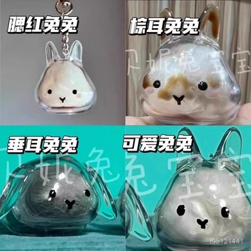 🚚臺灣12H🚚可愛萌寵兔毛透明收納盒掛件寵物毛球膠囊紀念鑰匙扣裝飾收藏擺件 BUAE