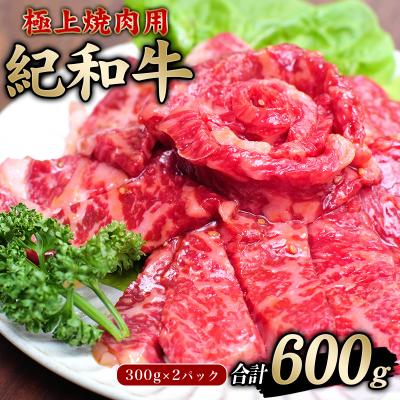 ふるさと納税 紀宝町 紀和牛タレ仕込味付焼肉 300g×2パック 合計600g