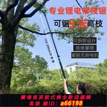 【台灣公司 可開發票】電動高枝鋸多功能加長桿電動修枝鋸剪電鋸充電式鋸樹高空電動鋸樹