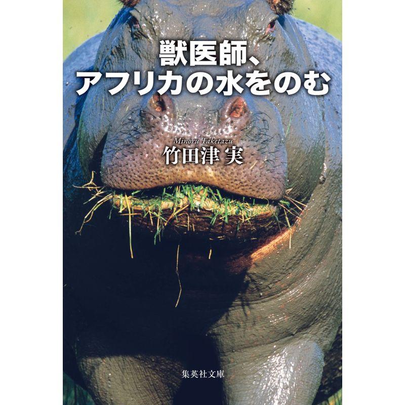 獣医師、アフリカの水をのむ (集英社文庫)