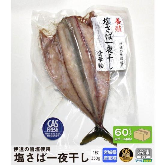 鯖一夜干し 350g CAS冷凍