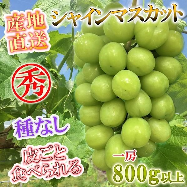 長野県北信州 産地直送 シャインマスカット 贈答用 特上品 1房 約800g 化粧箱入 限定販売