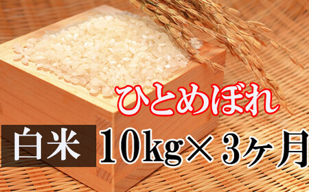  精米 10kg （3ヶ月定期便） ／ 新米 白米 産地直送 